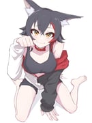 ookami_mio ookami_mio_(hoodie) (hololive) drawn by eihire